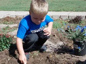 Child digging in dirt with a small shovel next to potted plants