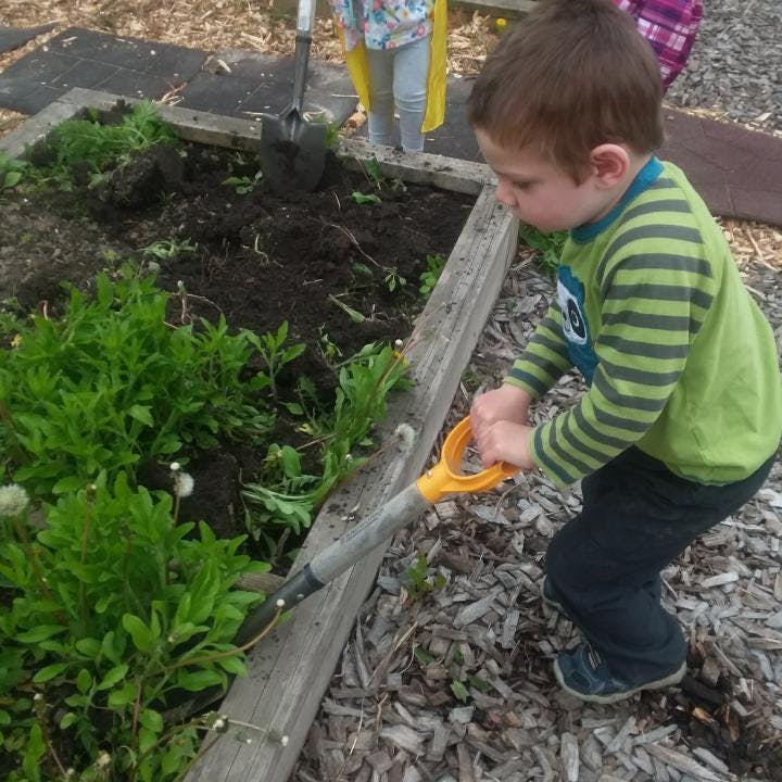 Child digging in a garden bed with a small shovel