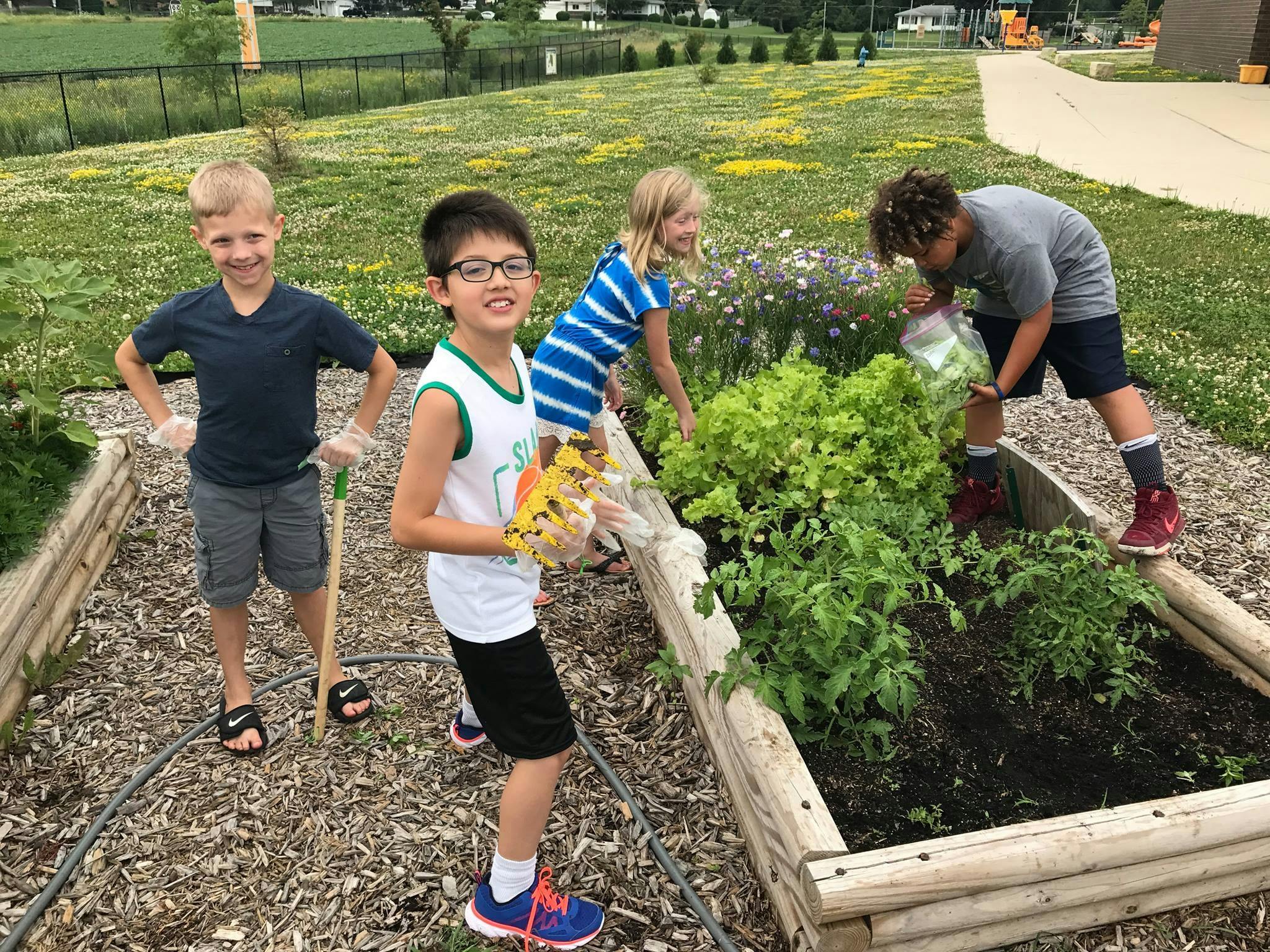 Children gardening in raised beds