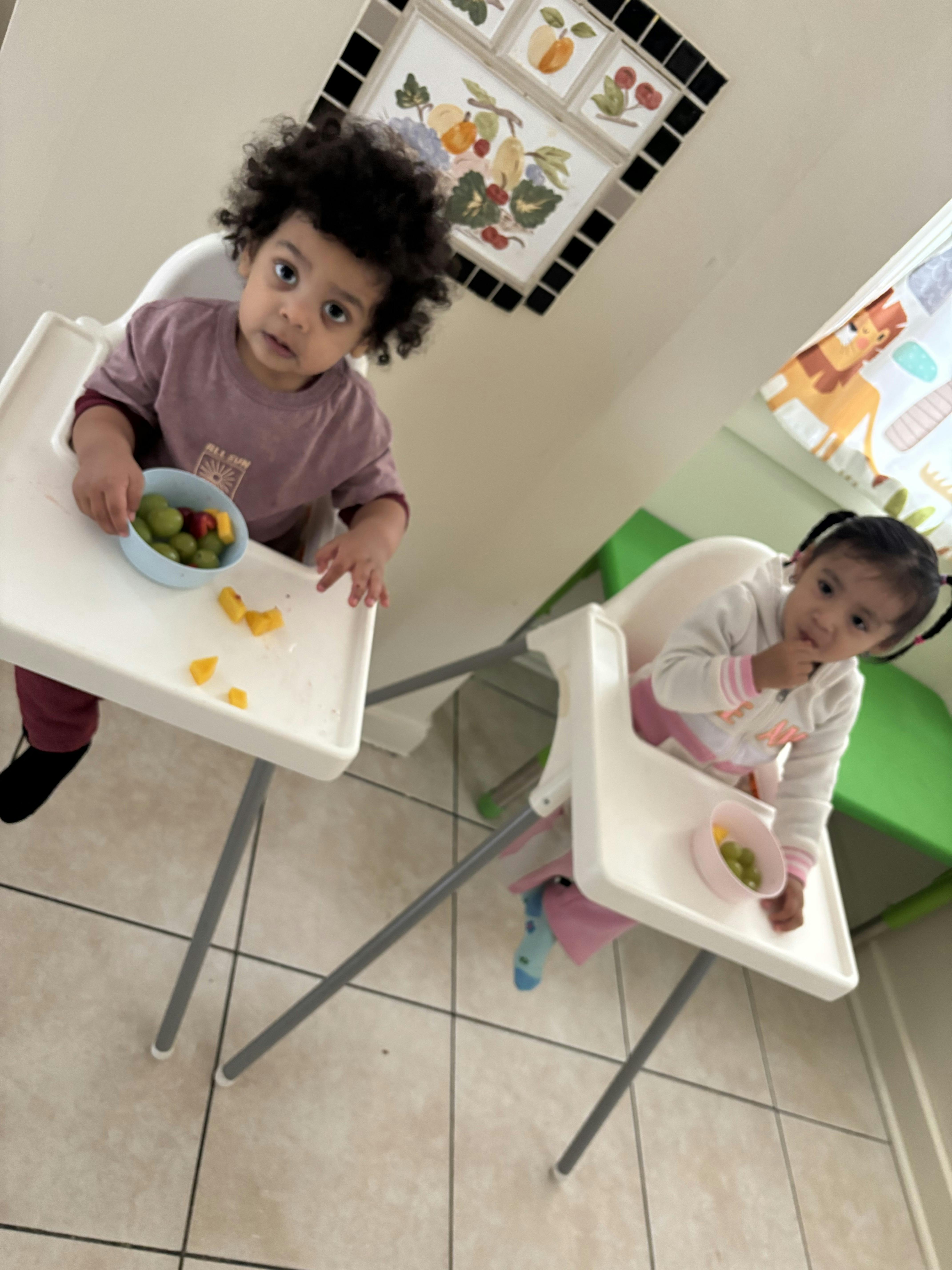 Kids Jungle LLC in Bronx, NY