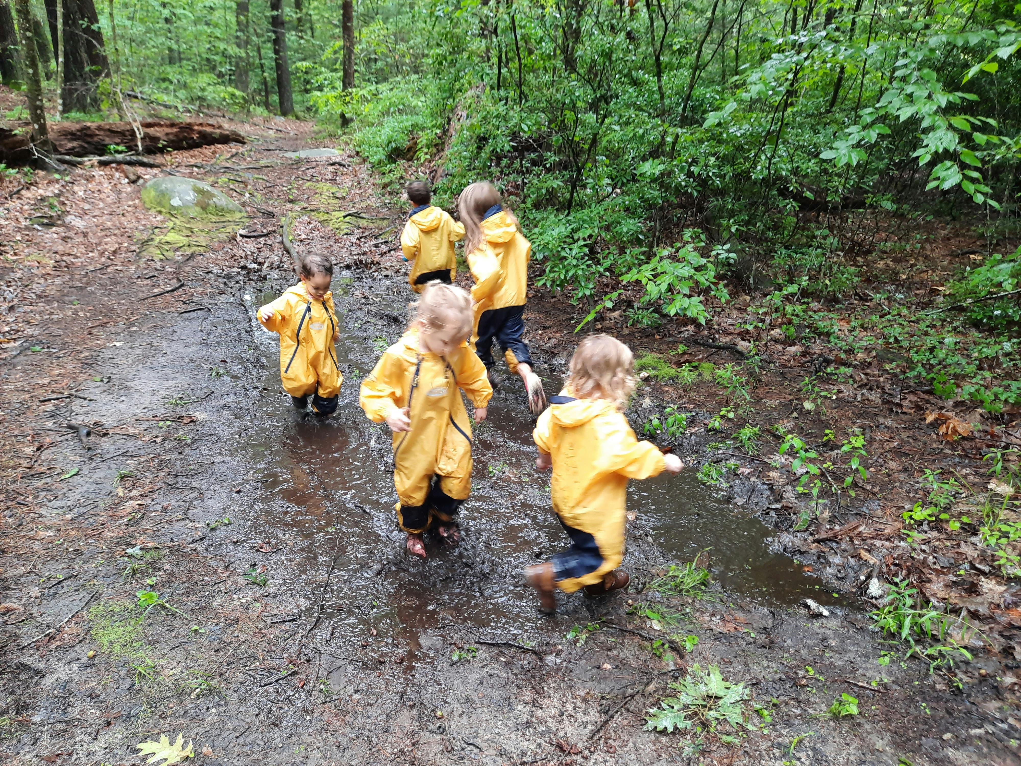 Children in yellow rain gear walking through a muddy path in the woods