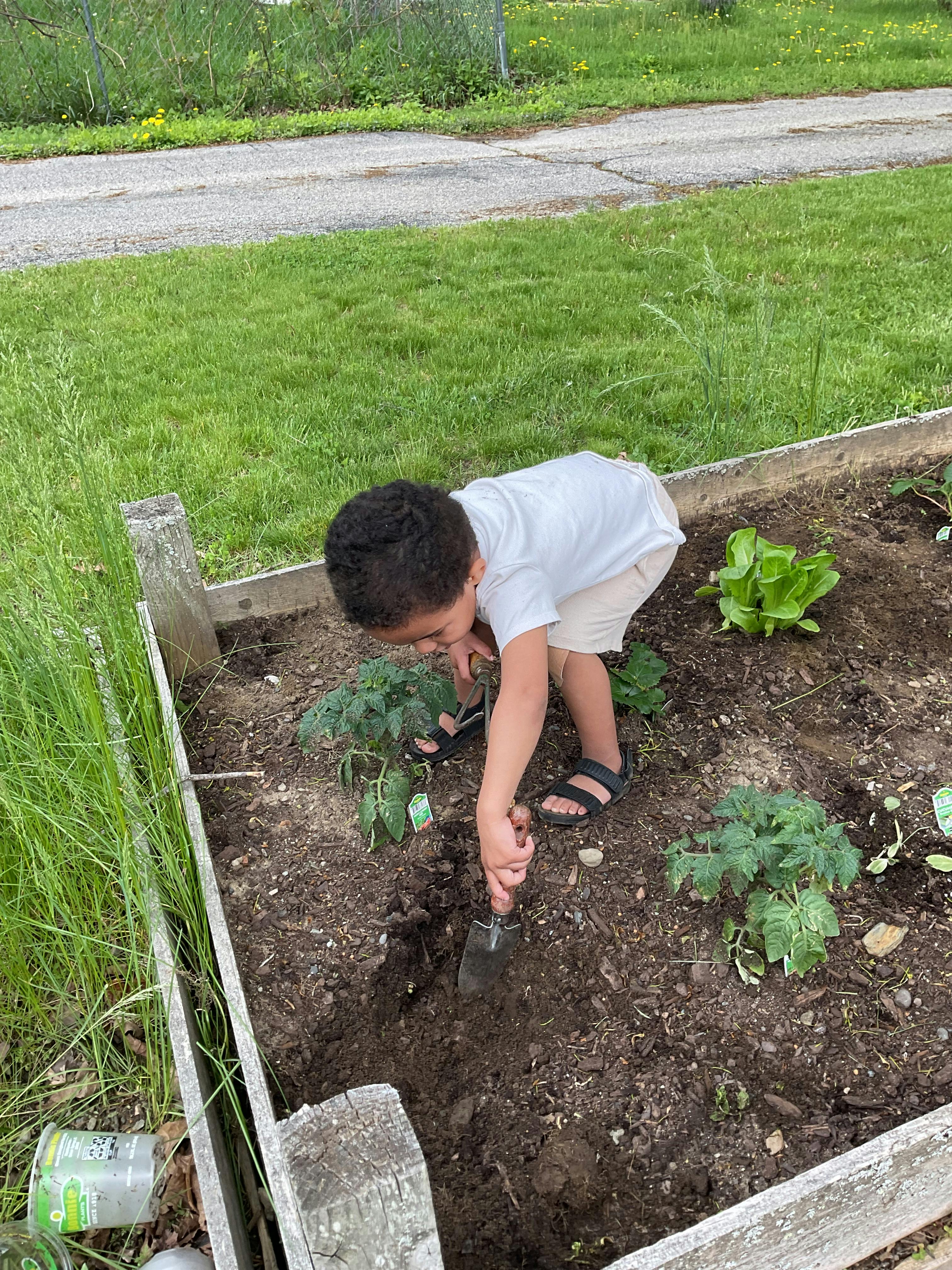 Child using a small garden trowel to dig in a raised garden bed