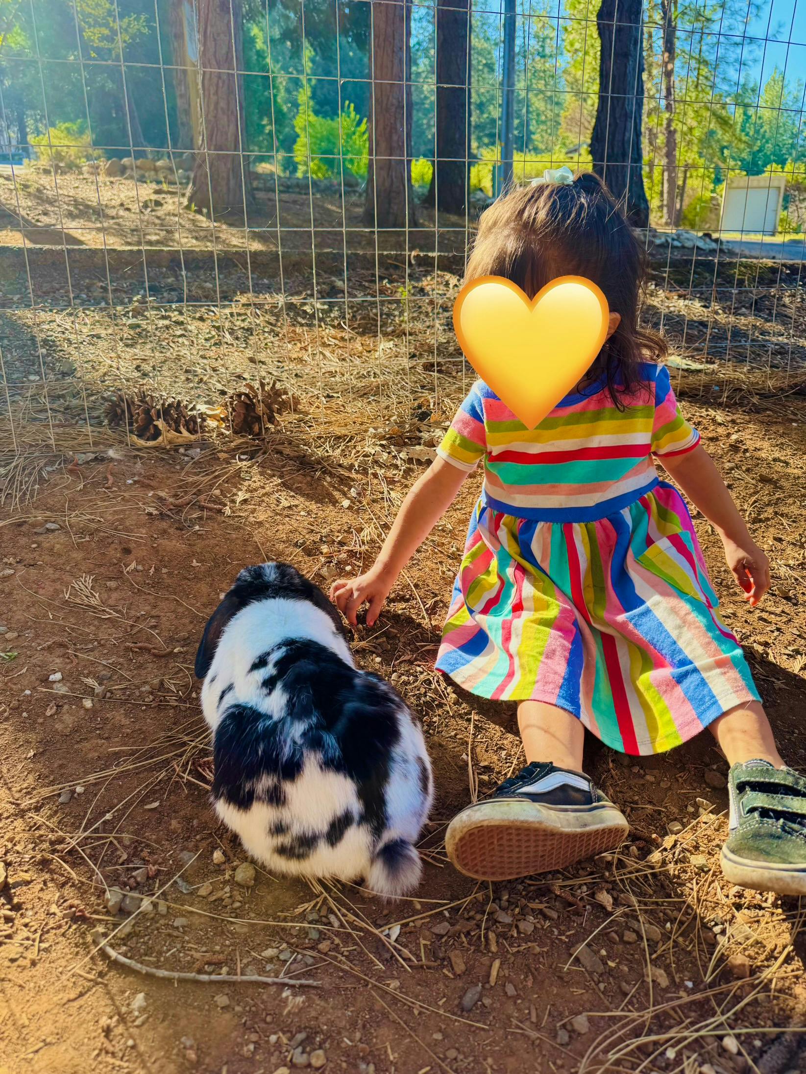 Child sitting on the ground next to a rabbit in an outdoor enclosure