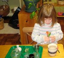 Child holding a flower stem over a tray with small containers