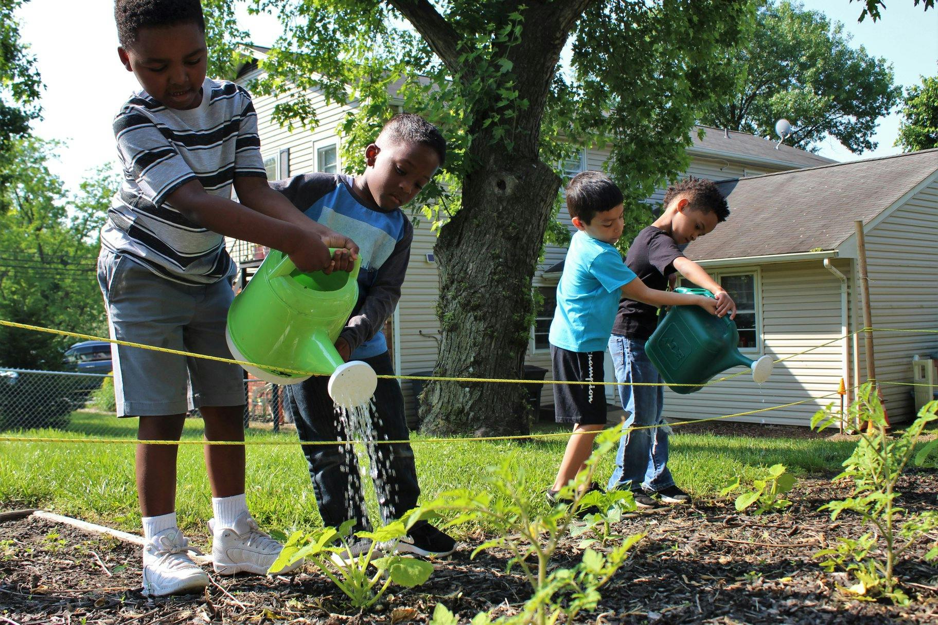 Four children watering plants in a garden