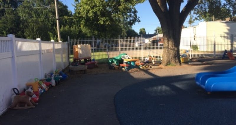 Outdoor play area with various toys and a large tree