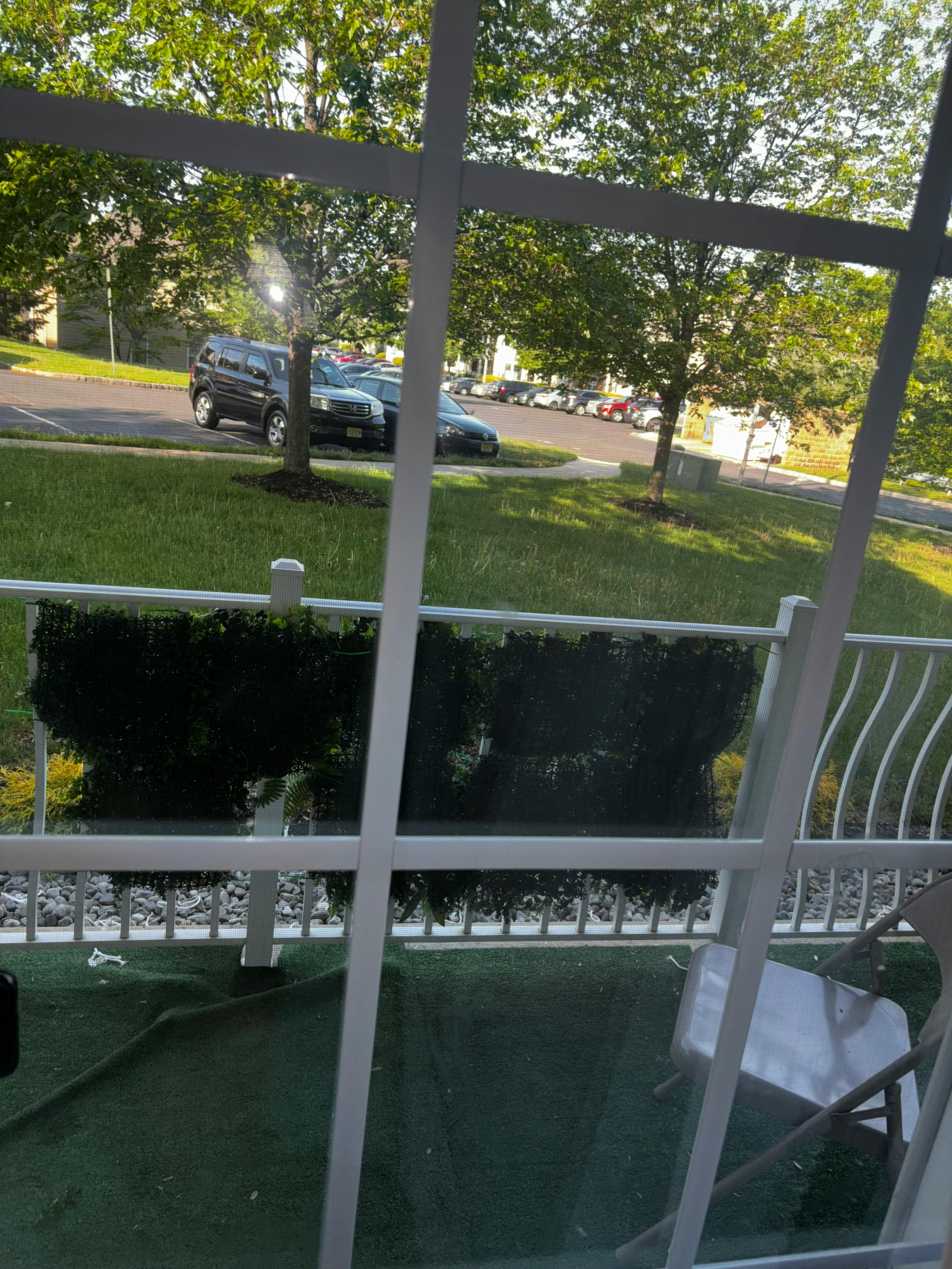 View from a window of a parking lot with cars and trees