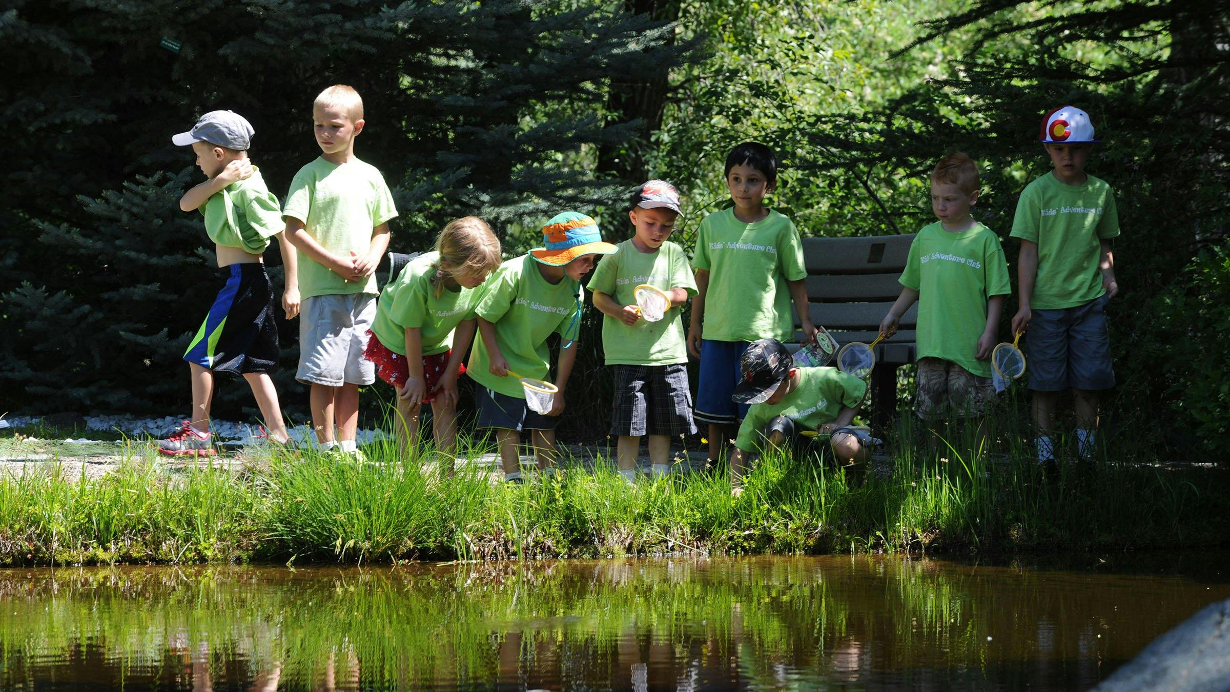 Children in green shirts looking into a pond