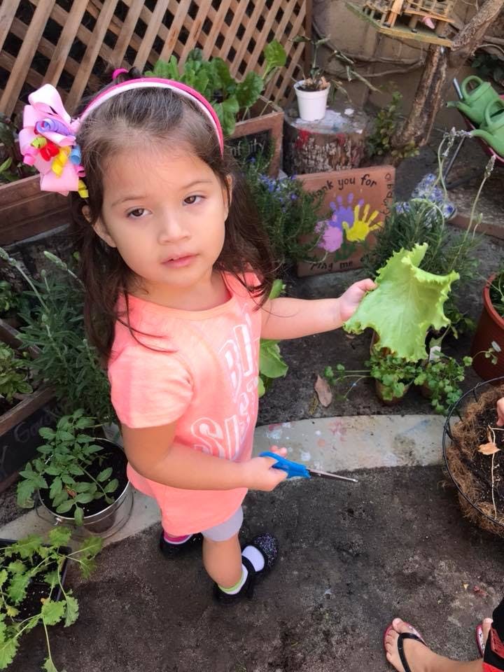 Child holding a large green leaf and blue scissors