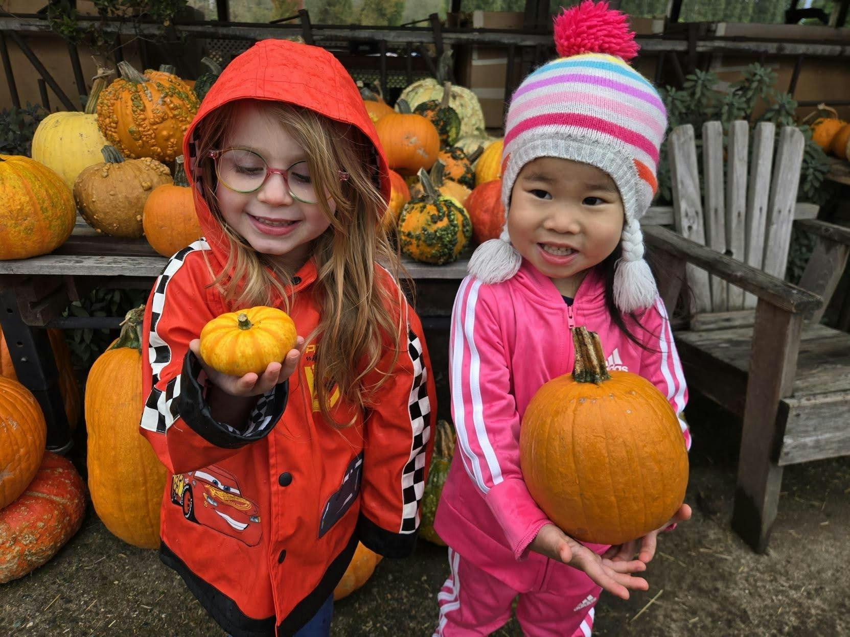 Two children holding pumpkins at a pumpkin patch