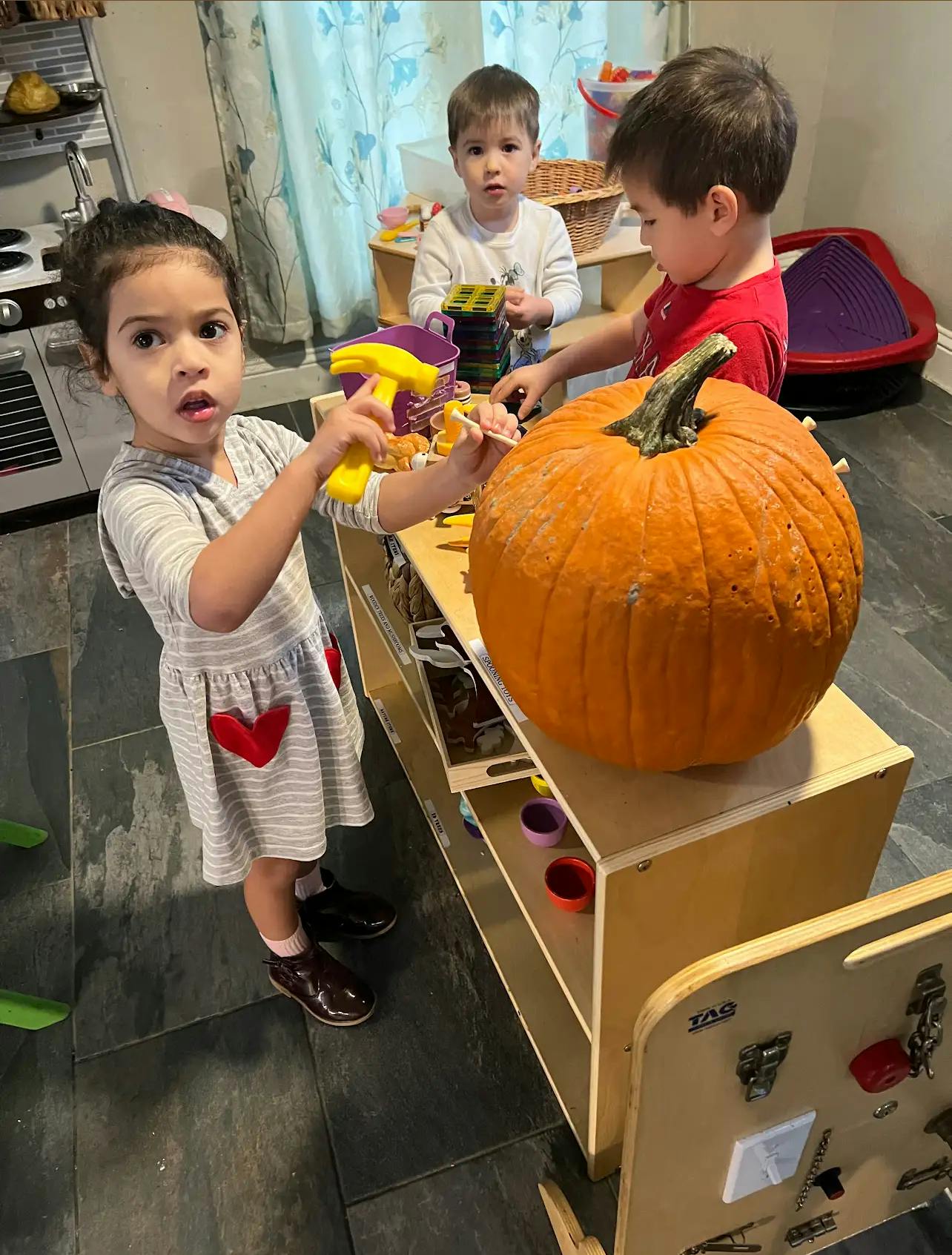 Three children around a pumpkin on a wooden shelf