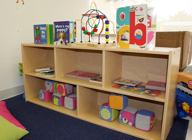 Wooden shelving unit with children's books and toys