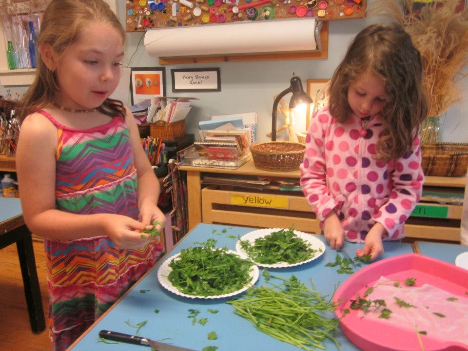 Two children preparing green herbs on a table