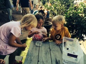 Three children looking at an object on a wooden table outdoors