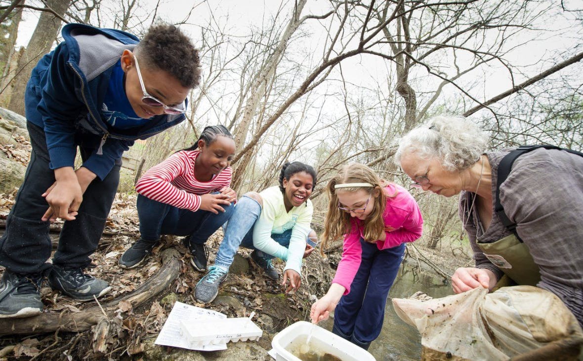 Adult and children looking at something on the ground outdoors