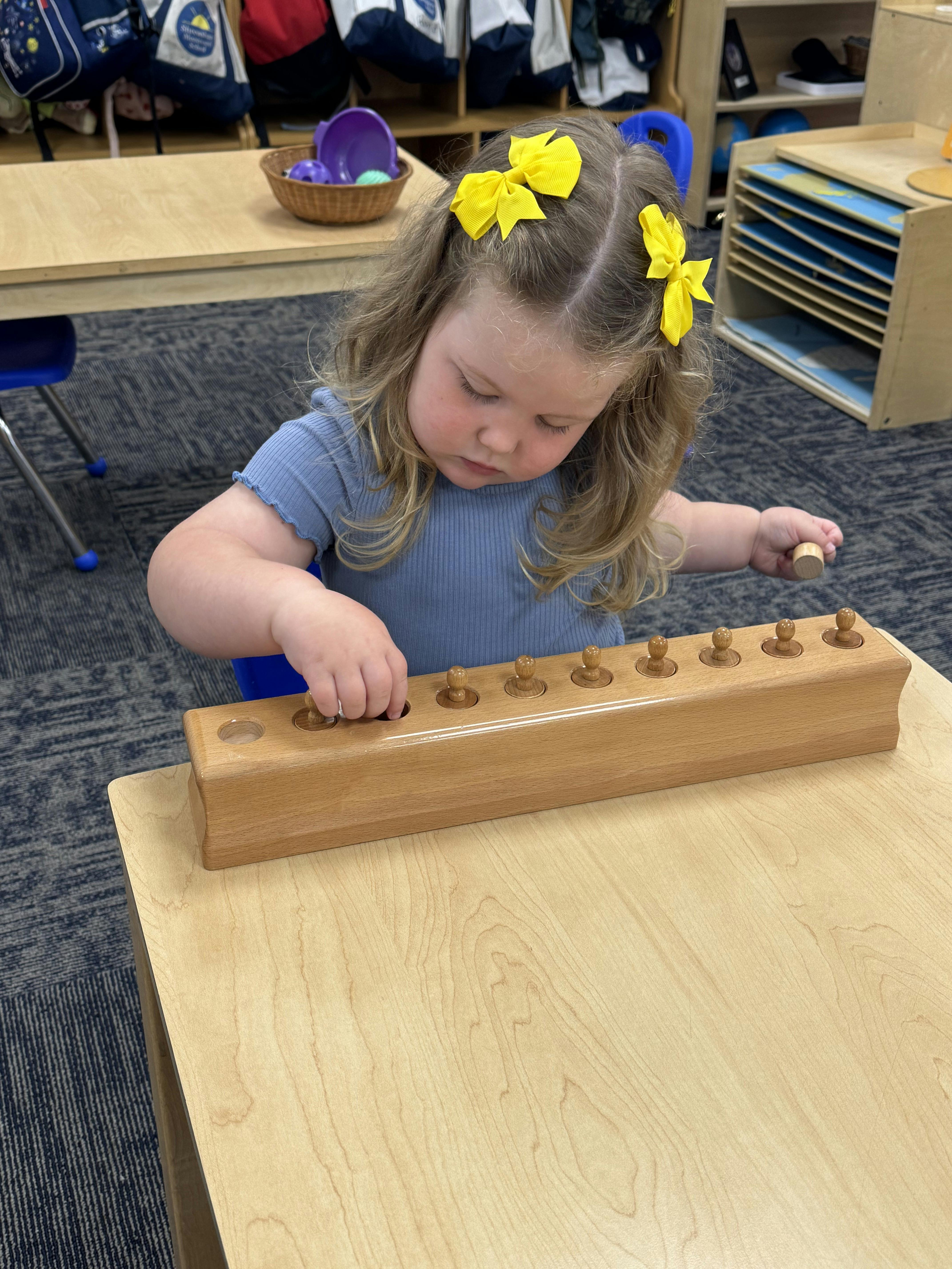 Shrewsbury Montessori School (Prospect Street Campus) in Shrewsbury, MA