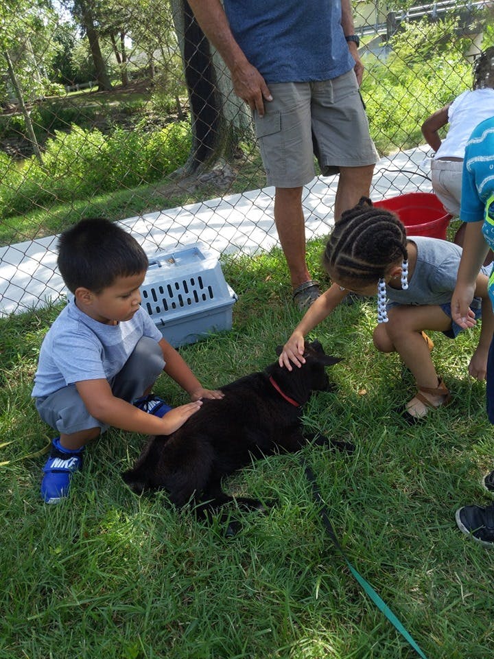 Two children petting a black dog on grass