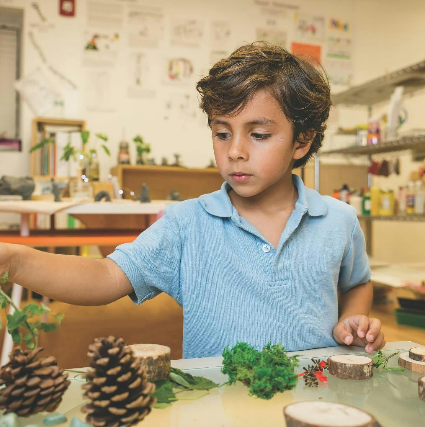Child arranging natural elements like pinecones and wood slices on a table