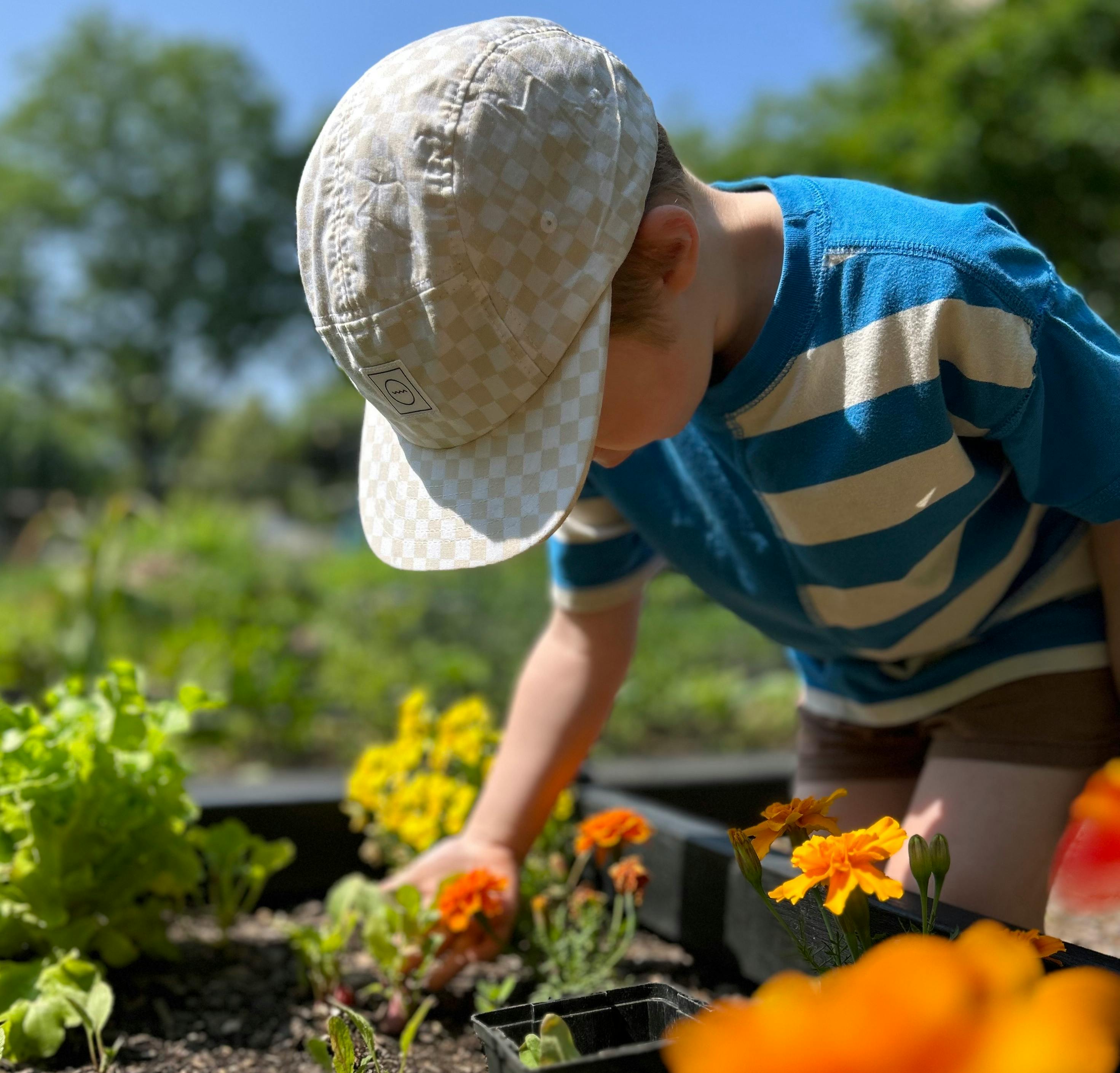 Child in a hat planting flowers in a garden