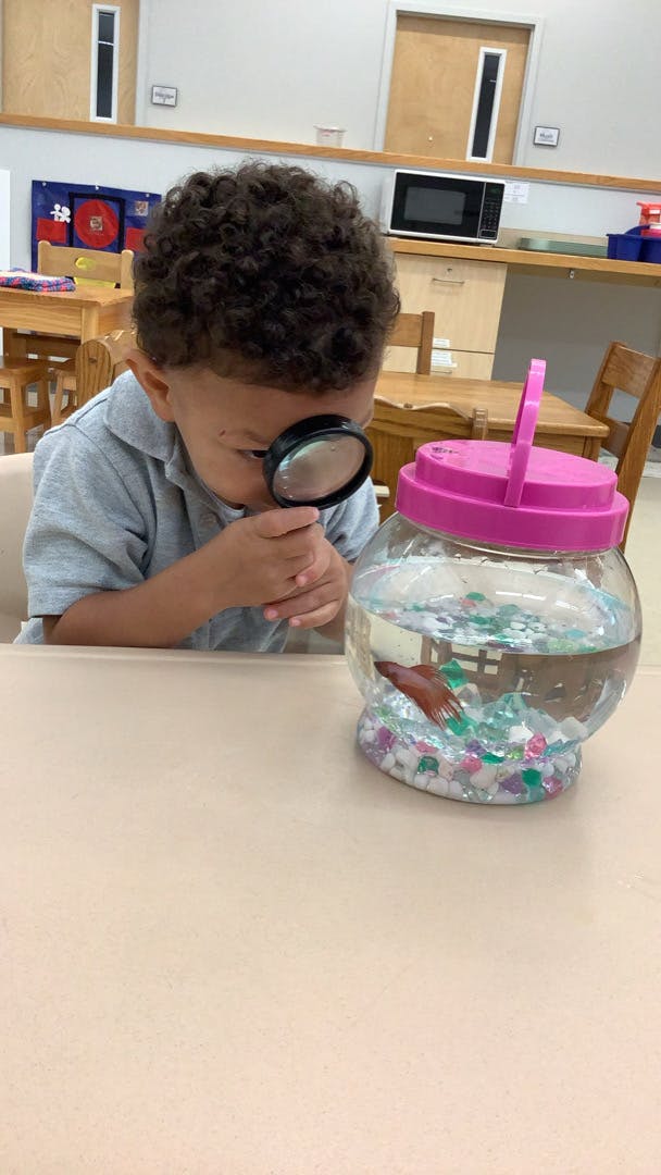 Child looking at a fish in a bowl with a magnifying glass