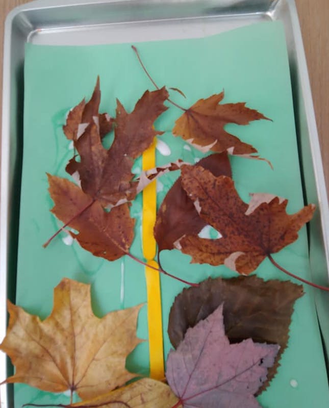 Dried leaves glued to green paper with a yellow ribbon
