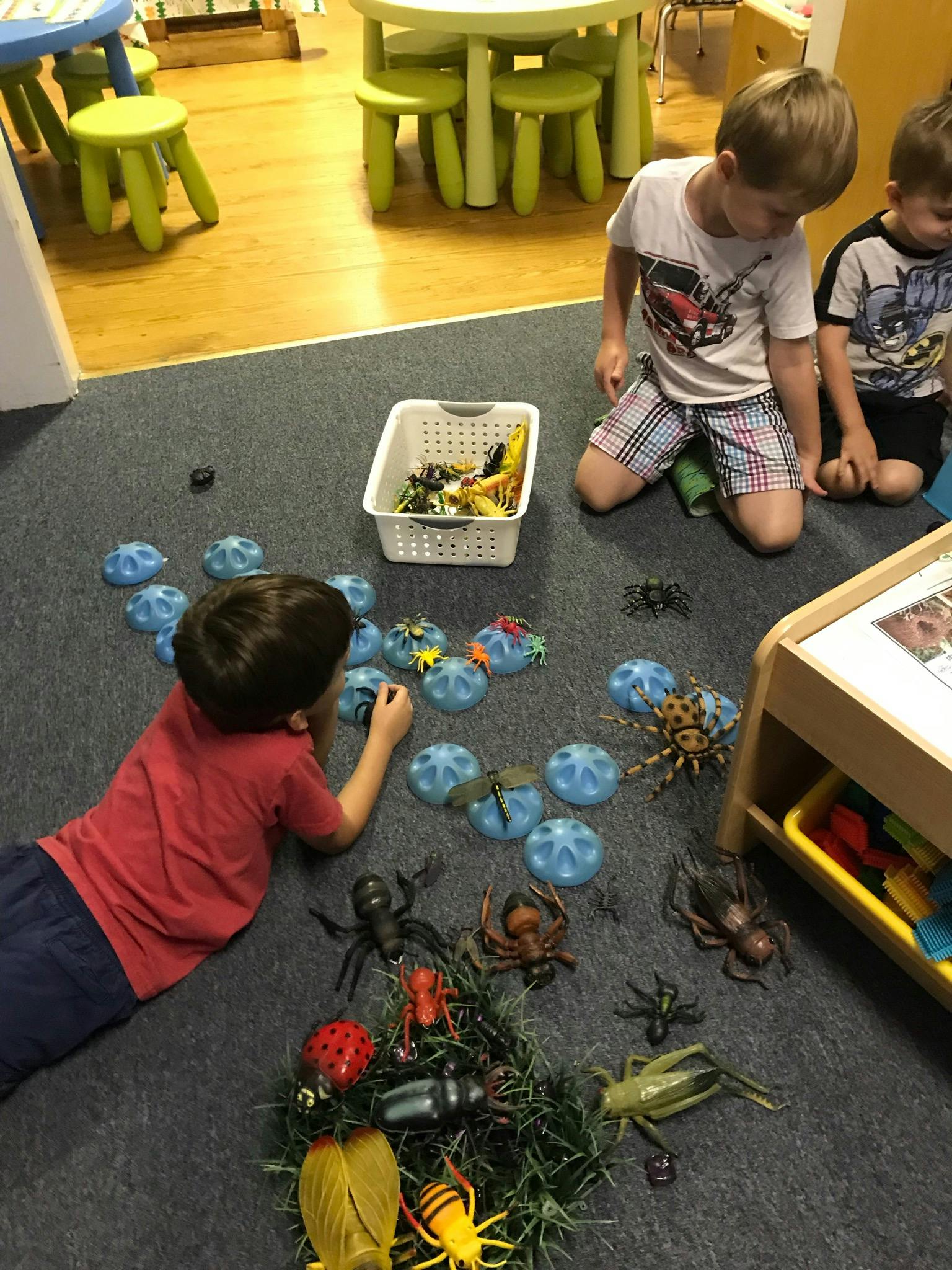 Children playing with toy insects on a classroom floor