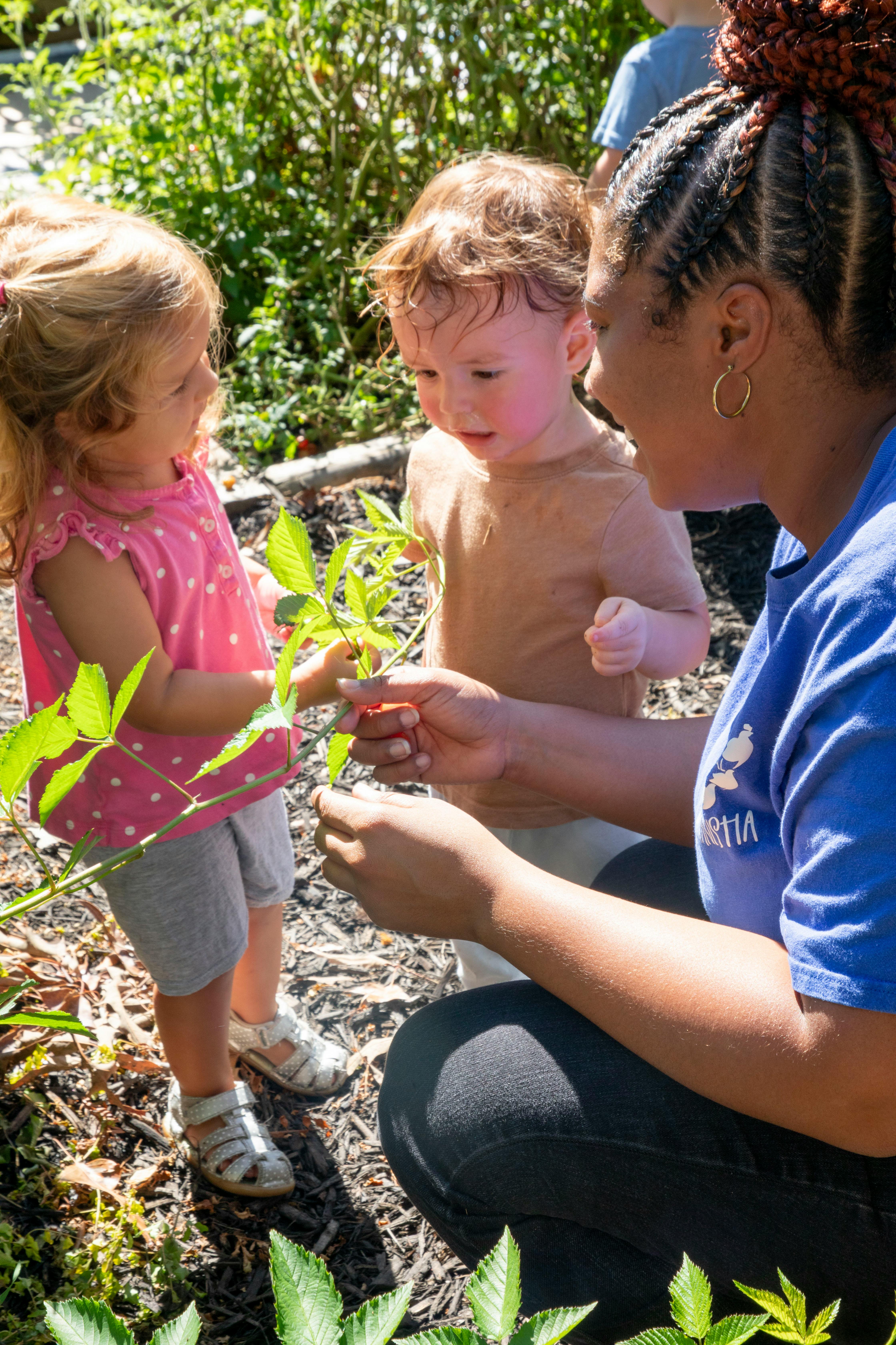 Adult and two children examining a plant outdoors