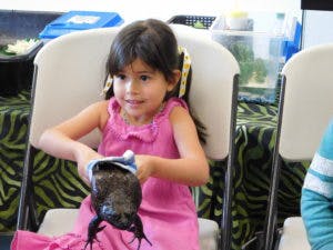 Child in pink dress holding a frog