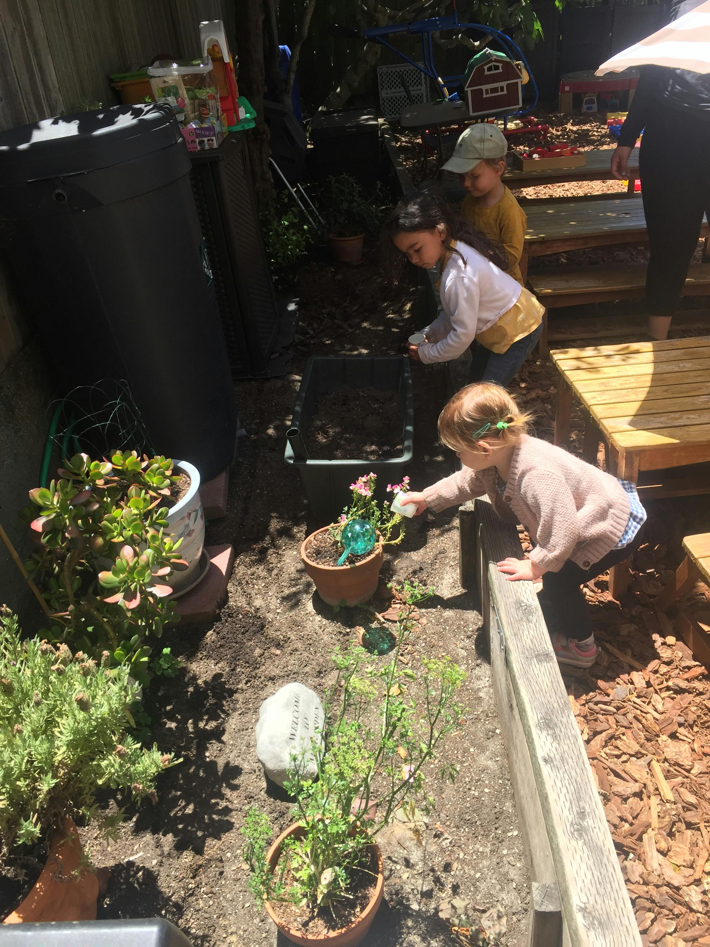 Three children tending to plants in a garden