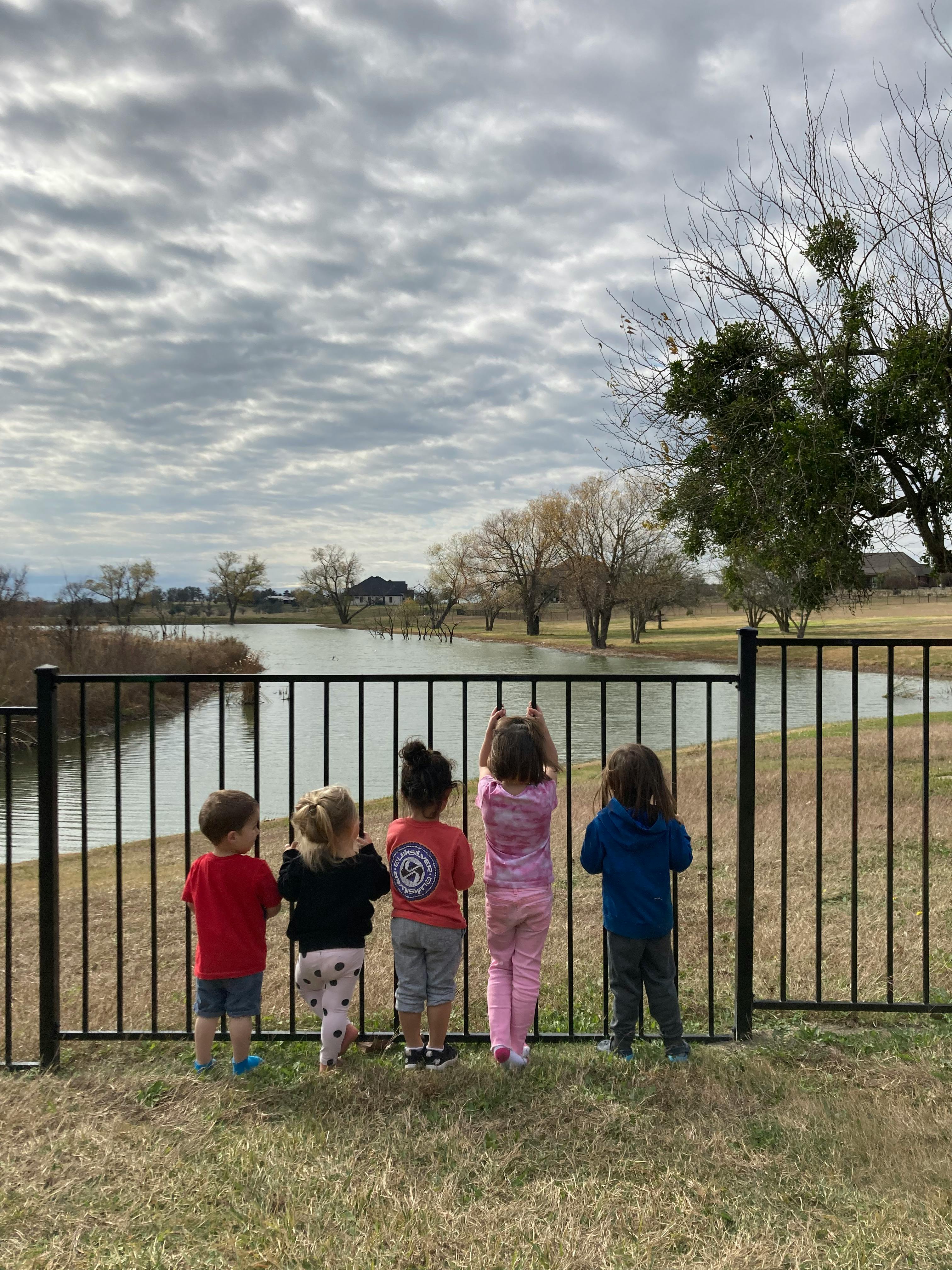 Five children looking over a fence at a body of water