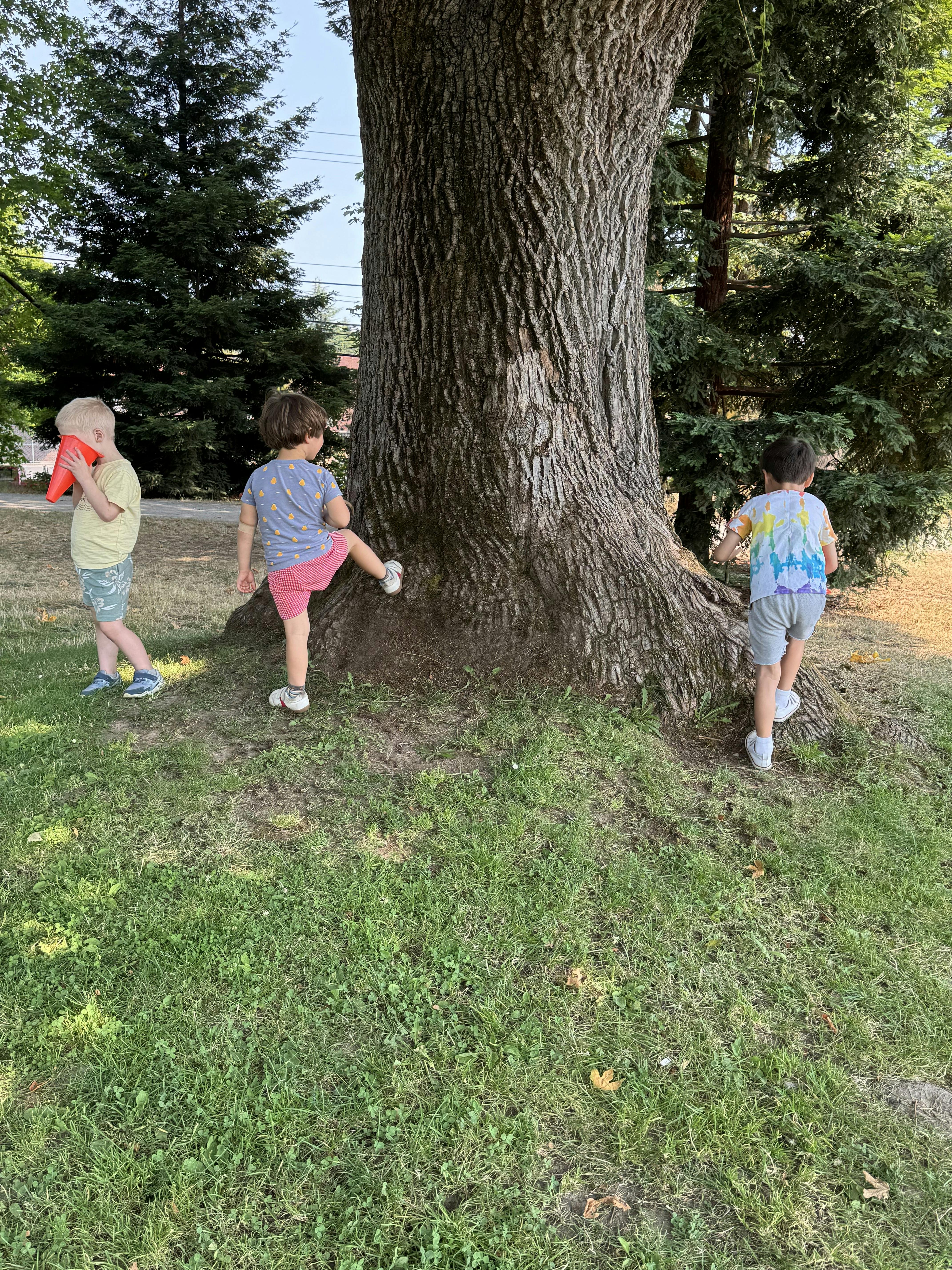 Three children playing by a large tree in a grassy area
