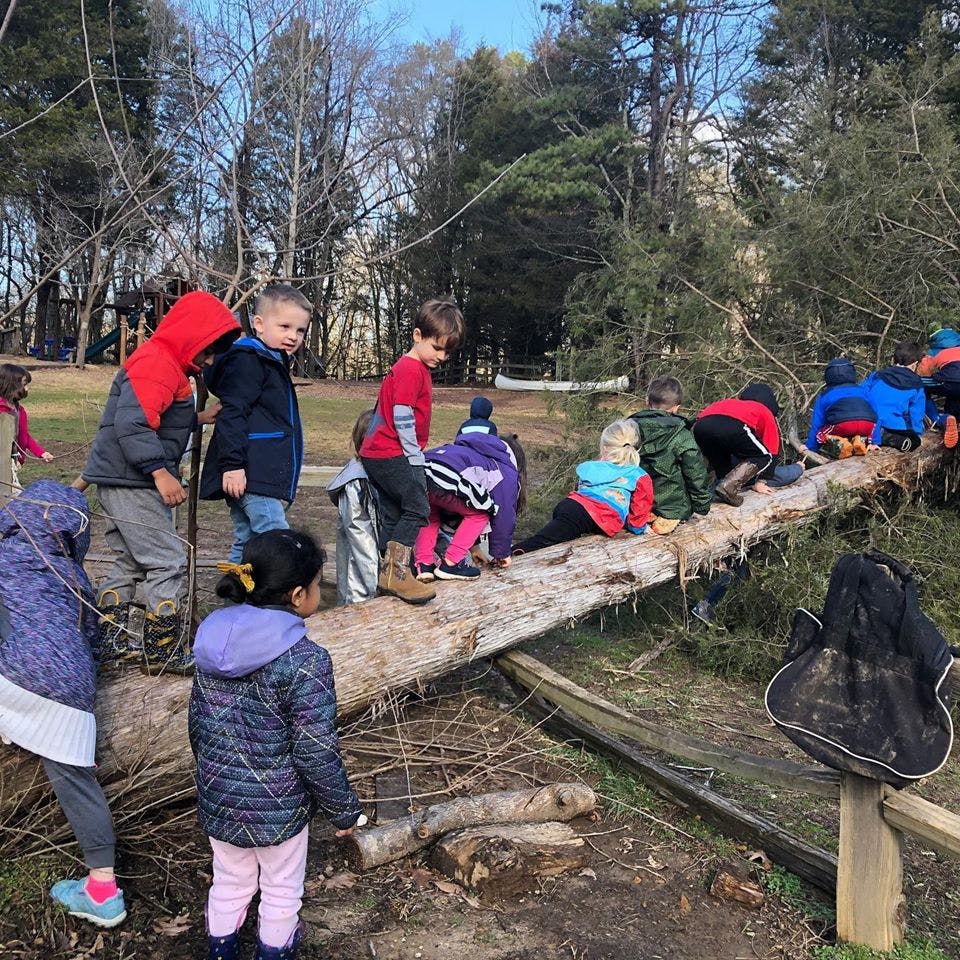 Children climbing and walking on a large fallen log outdoors