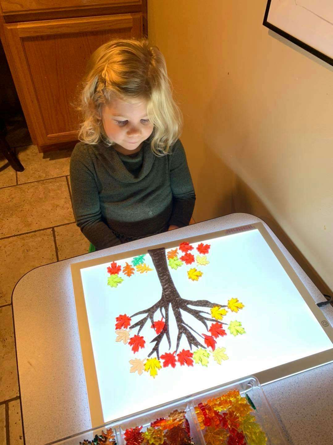 Child looking at a light table with a tree trunk and colorful leaves