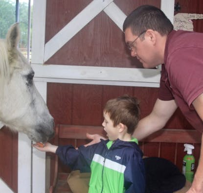 Adult and child feeding a horse