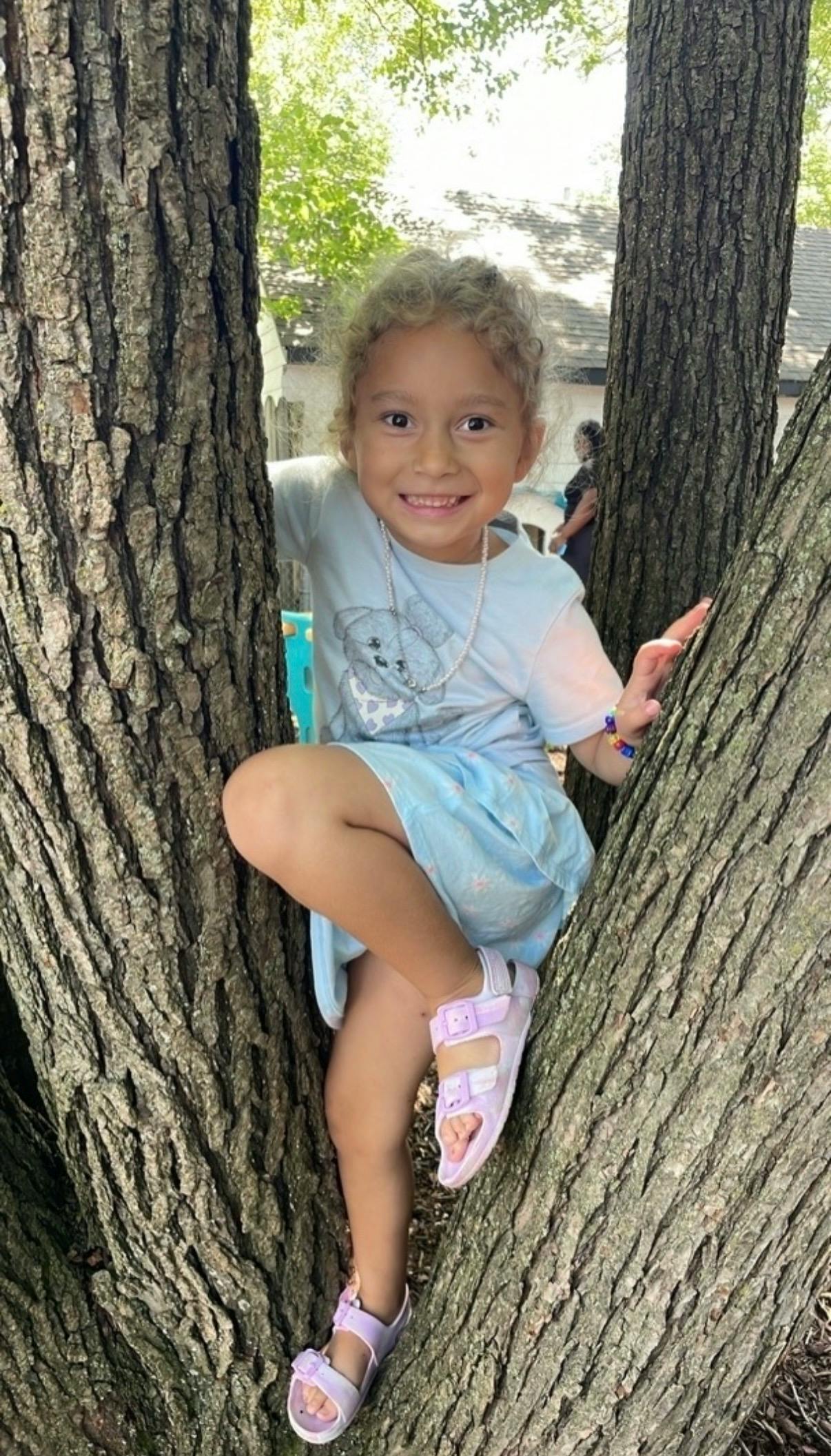 A child climbing in a tree