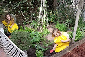 Two children gardening in a raised garden bed