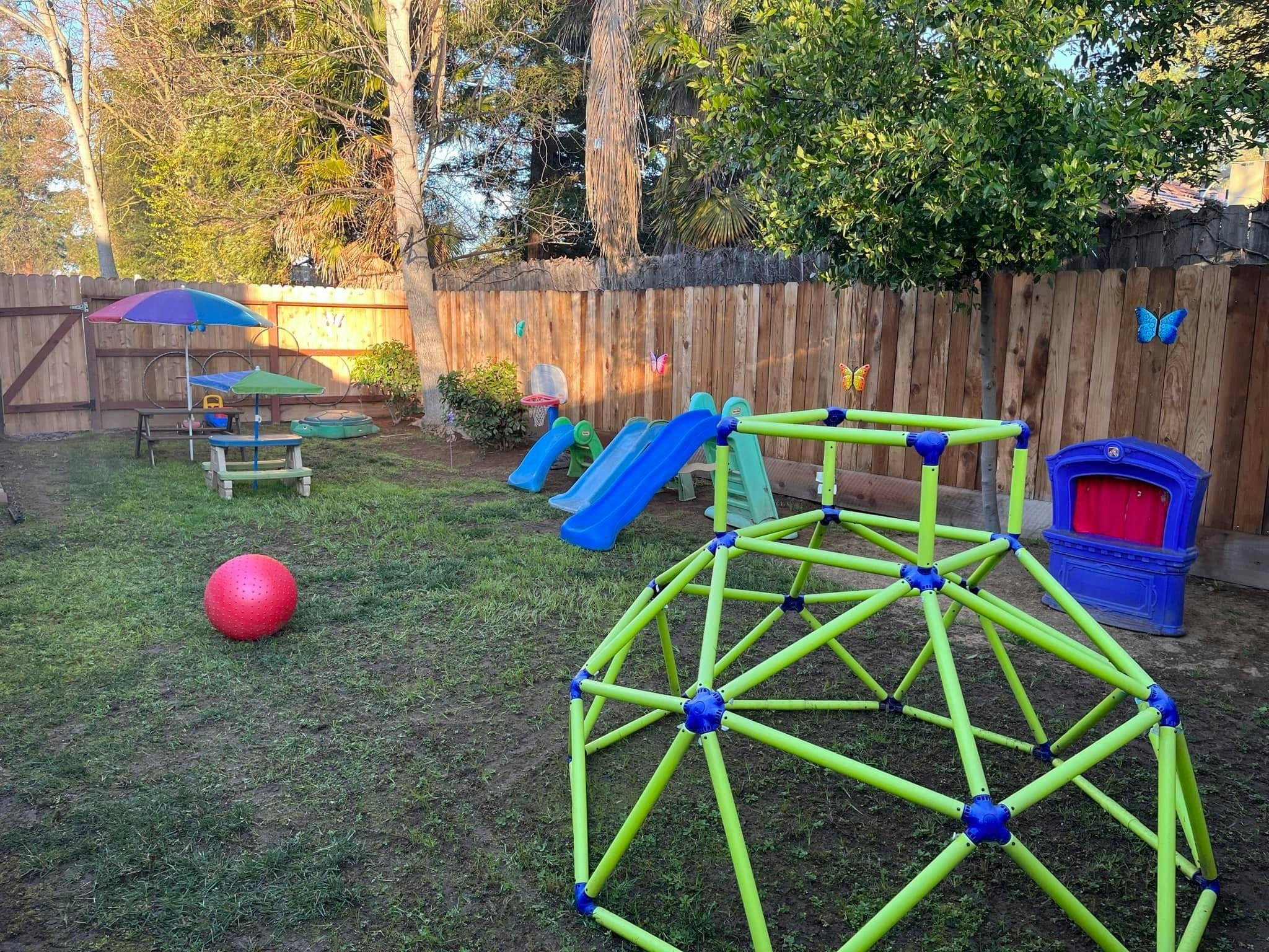 Outdoor play area with a climbing dome, slides, and a red ball