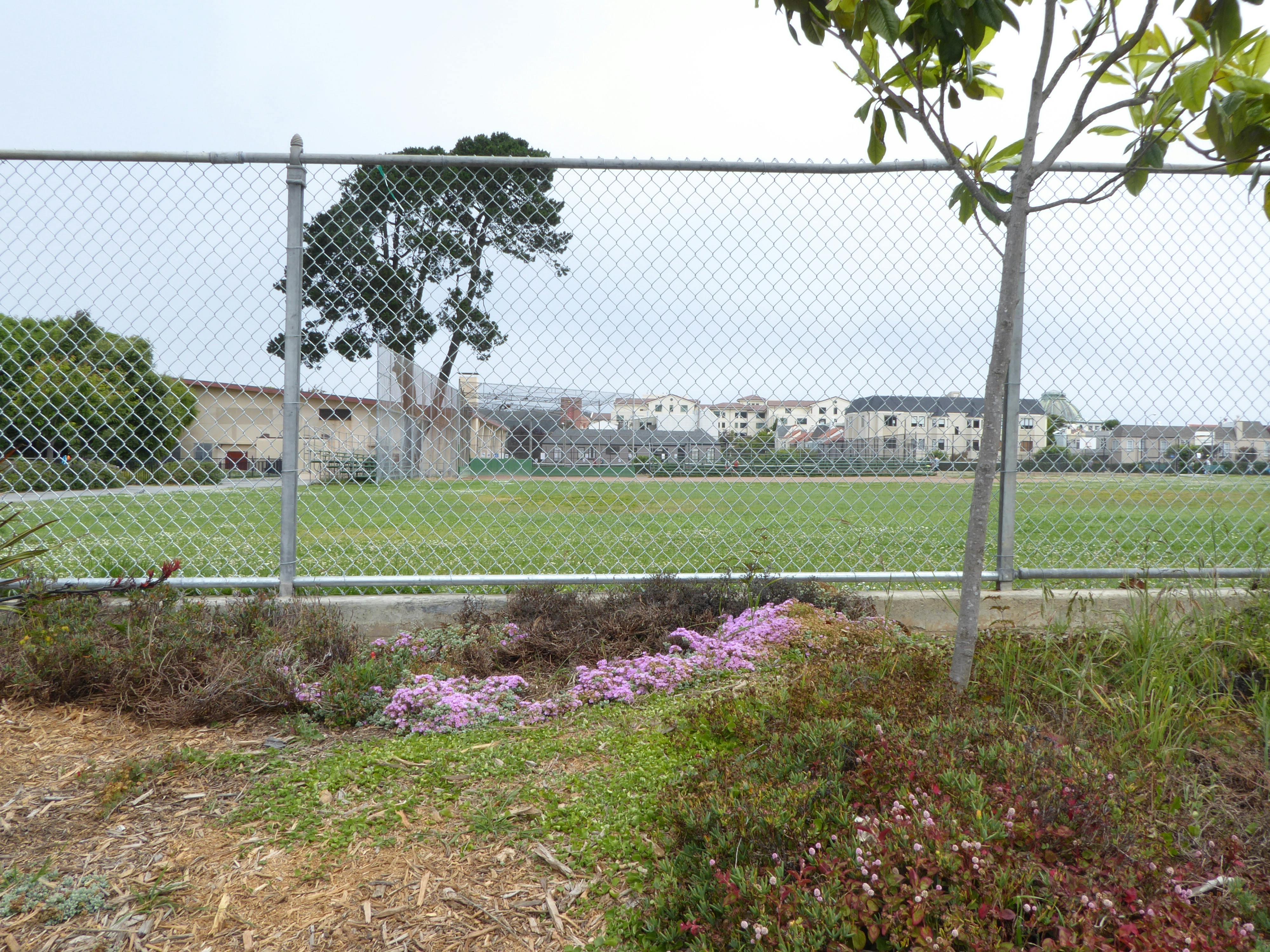 Chain link fence in front of a grassy field with buildings in the background