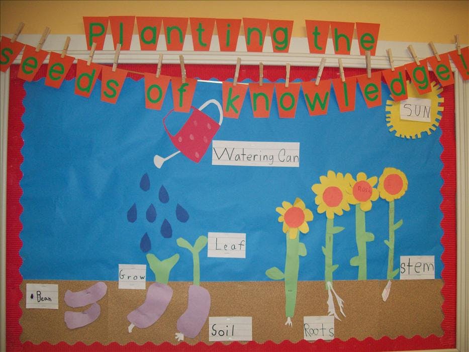 Classroom bulletin board about planting featuring paper cutouts and text