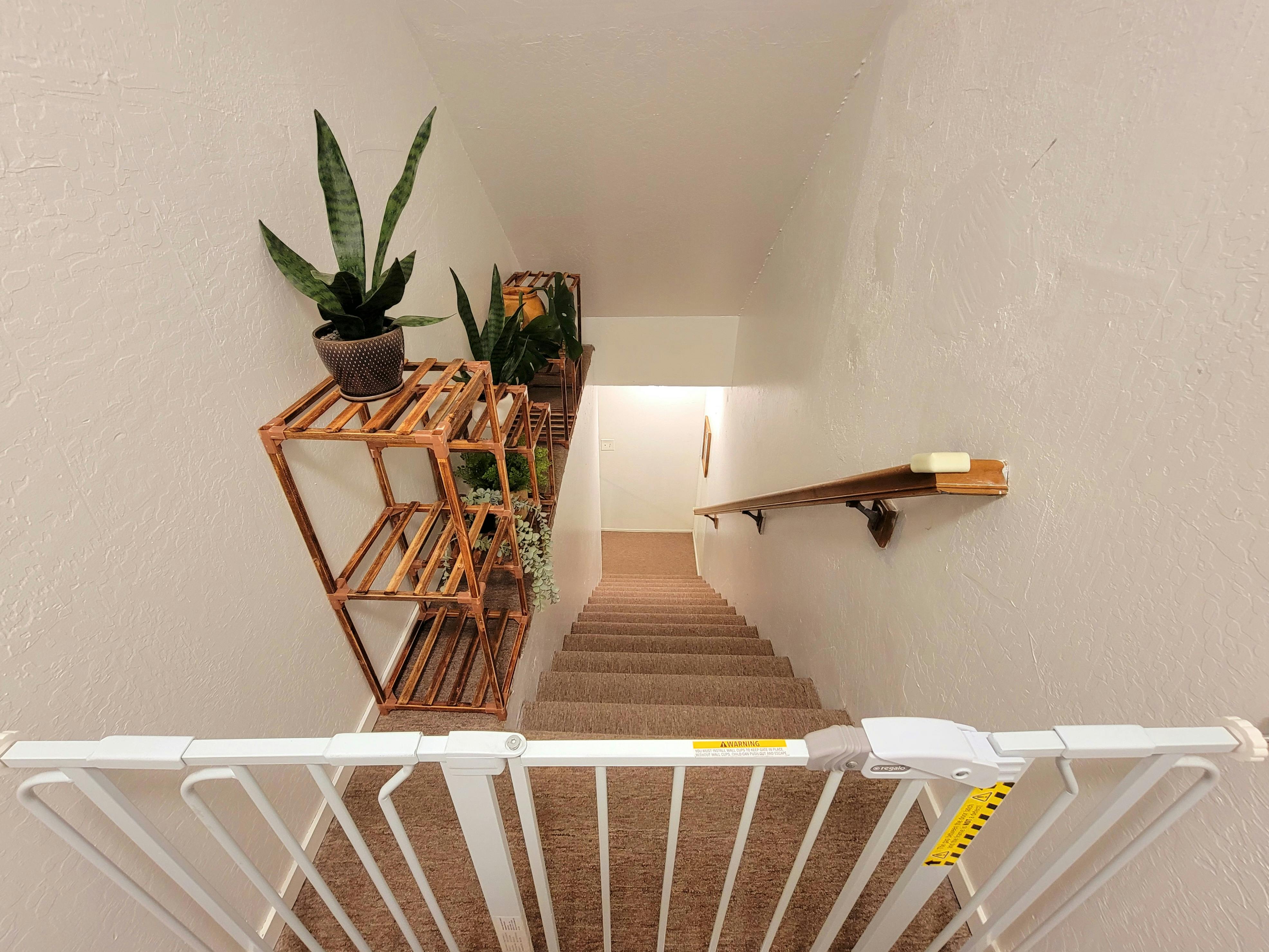 Staircase with a baby gate at the top and plants on a shelf