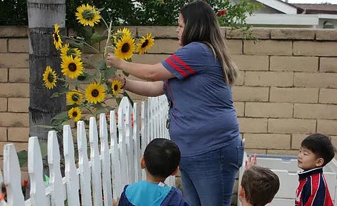 Person arranging sunflowers with children watching