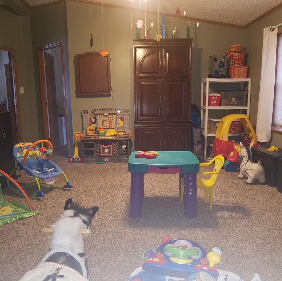 Dog in a room with children's toys and furniture