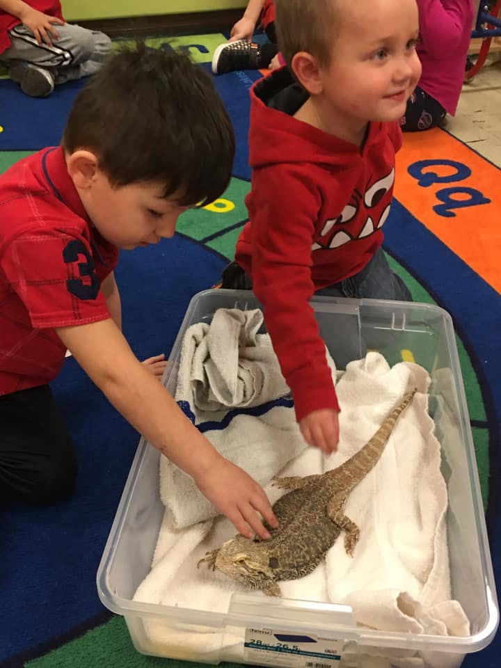 Two children interacting with a lizard in a plastic container