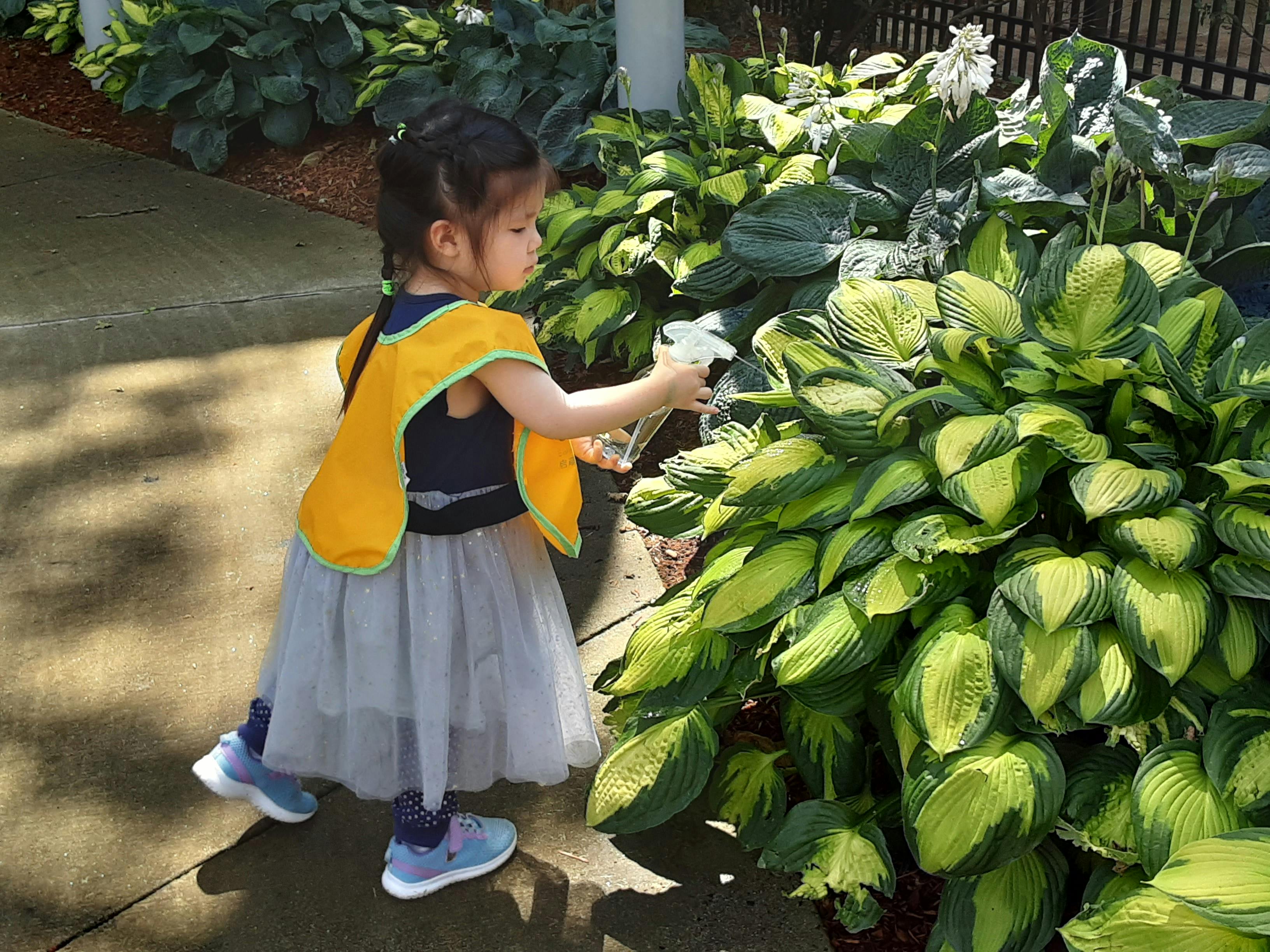 Child watering a plant with a spray bottle