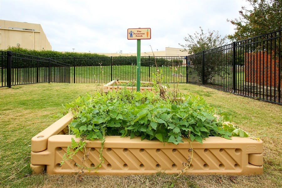 Raised garden bed with green plants and a small sign