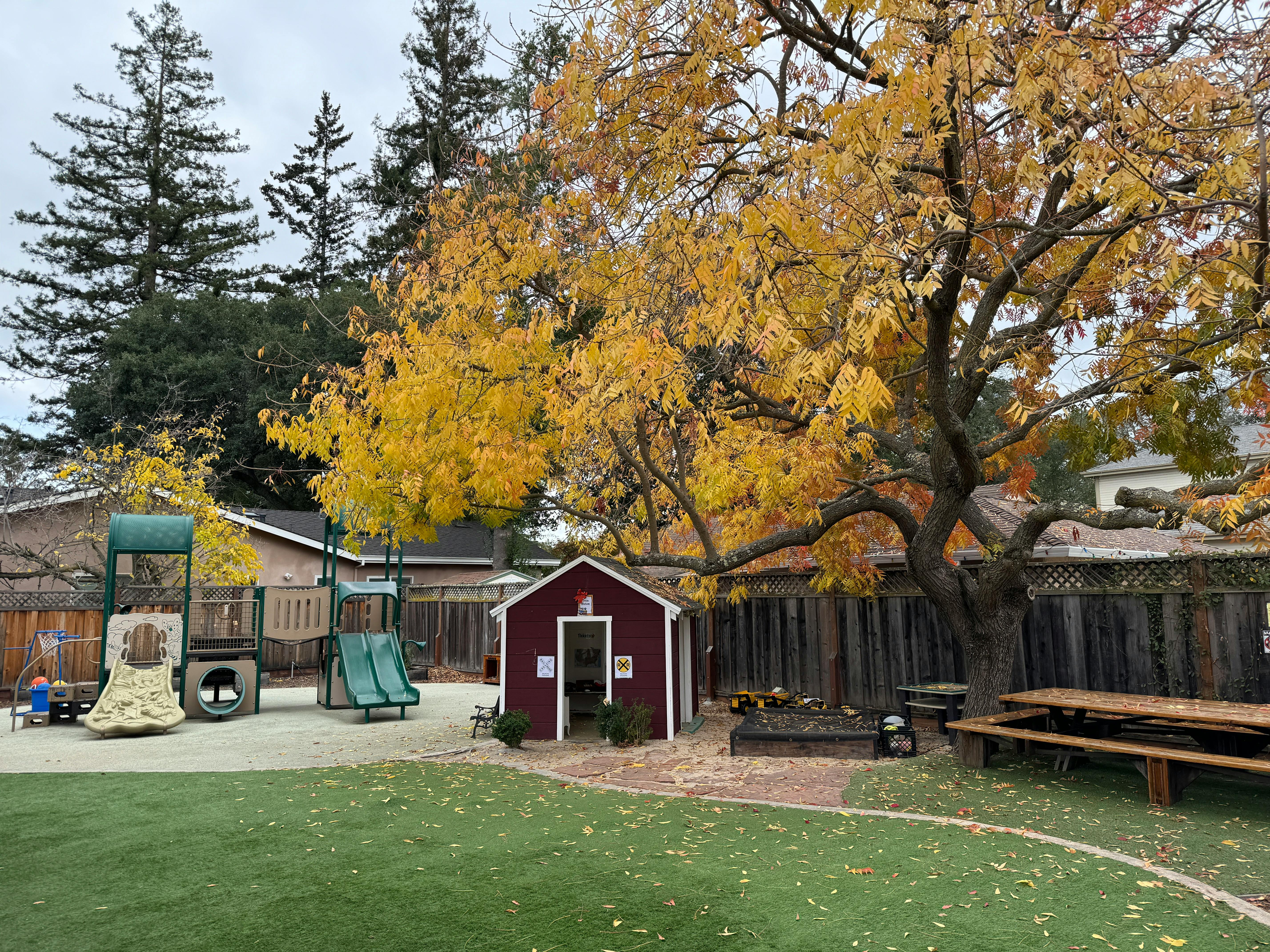 Playground with slides, a small red playhouse, and a large tree with yellow leaves