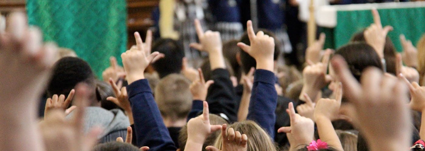 Many hands raised in the air, some making a 'rock on' gesture