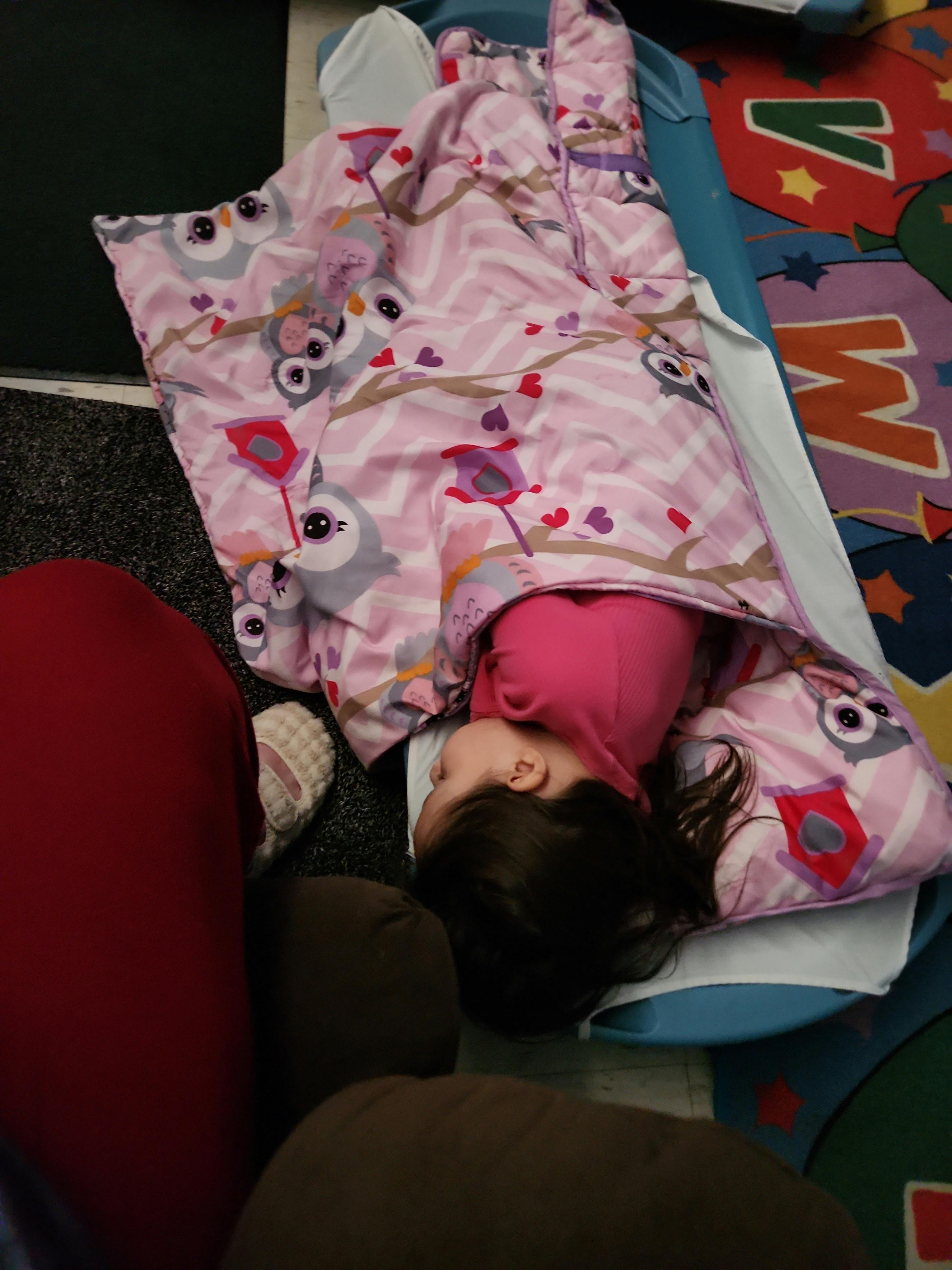 Child sleeping in a pink owl-patterned sleeping bag