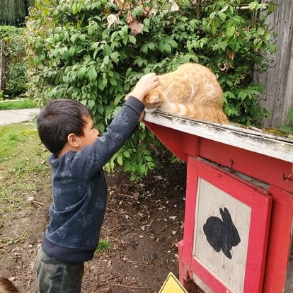 Child petting an orange cat on a red structure