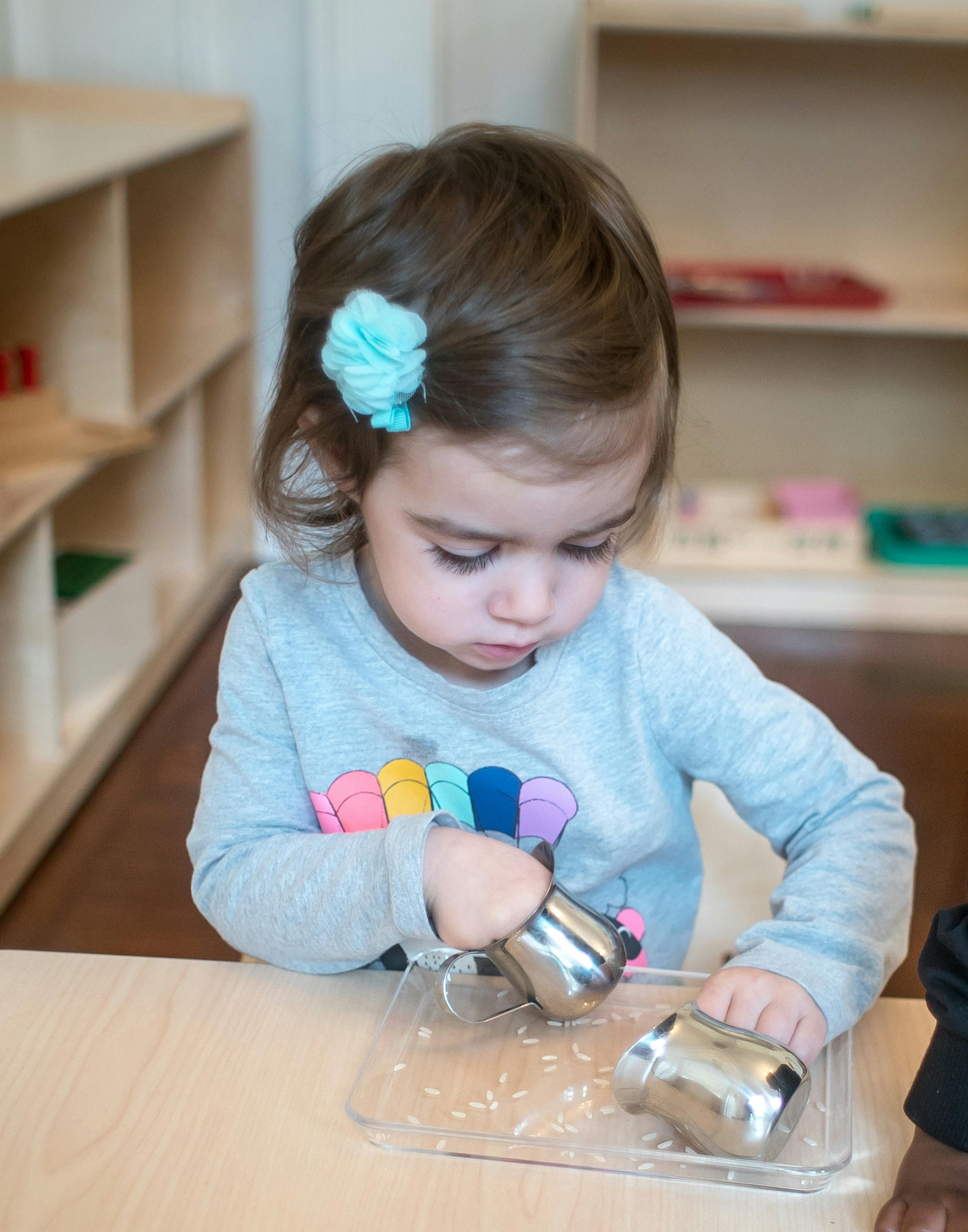 Atlanta Montessori International School (Druid Hills